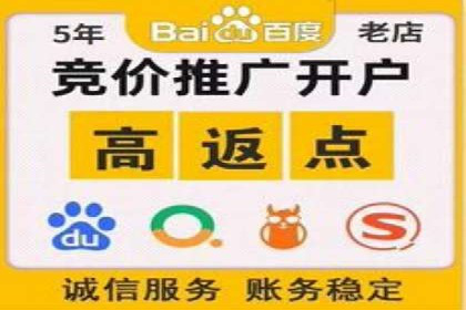 百度竞价托管公司案例分析：打造行业领军企业