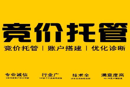 百度SEO推广公司案例汇编：实战优化技巧全解析